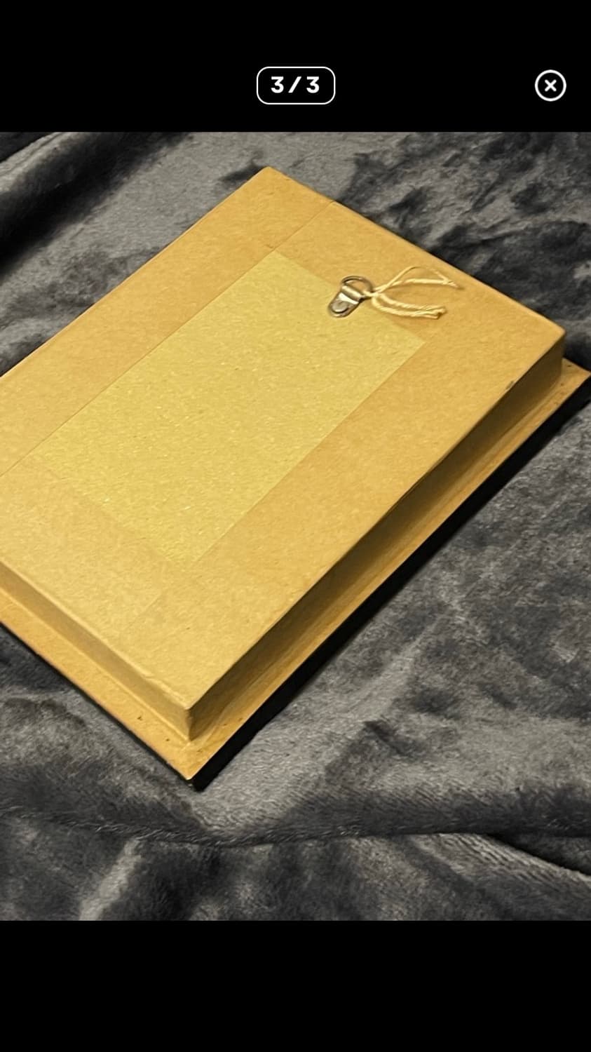 나비 박제 액자 유럽풍 인테리어 상품이미지3