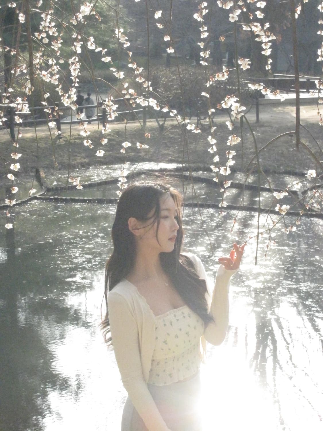 캐논 익서스 870is 디카 판매 상품이미지6