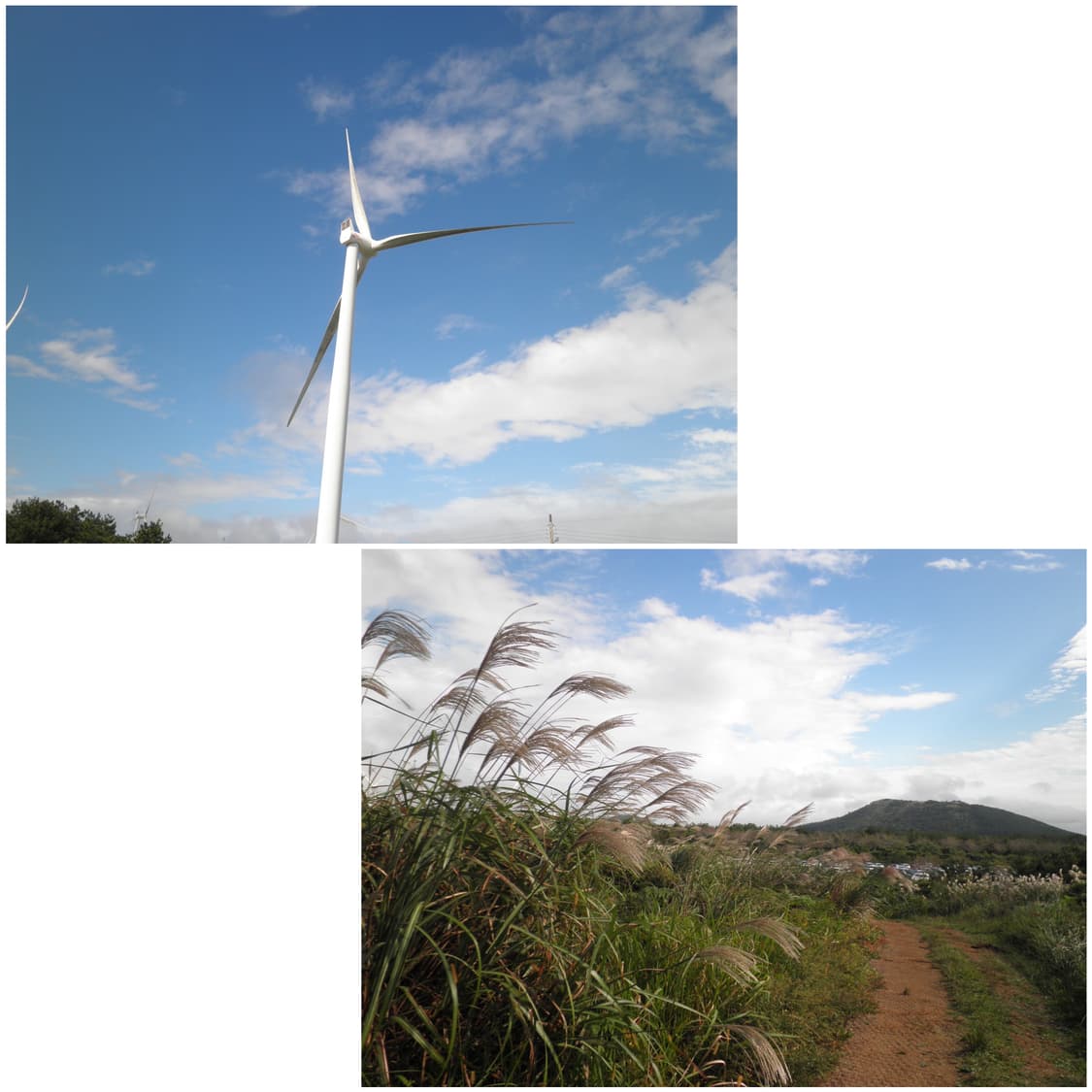 올림푸스 뮤 5010 베이비블루 빈티지디카 상품이미지2