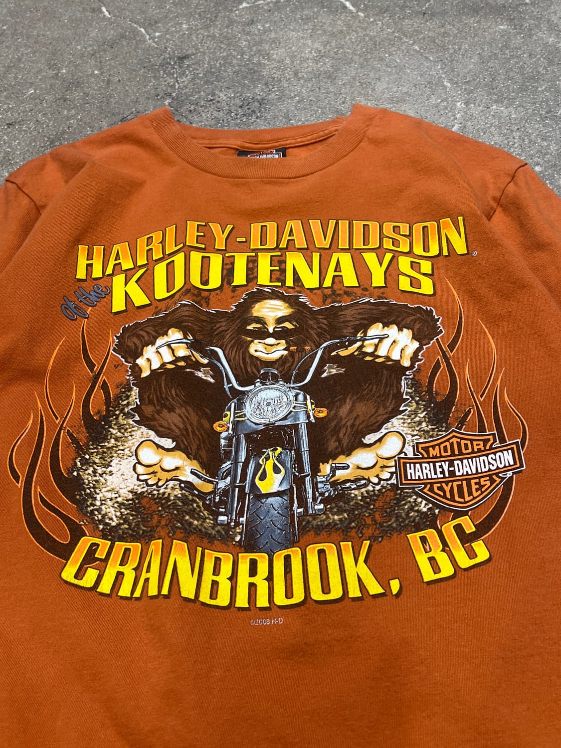 00‘s 할리데이비슨 코테네이즈 롱 슬리브 티 상품이미지2