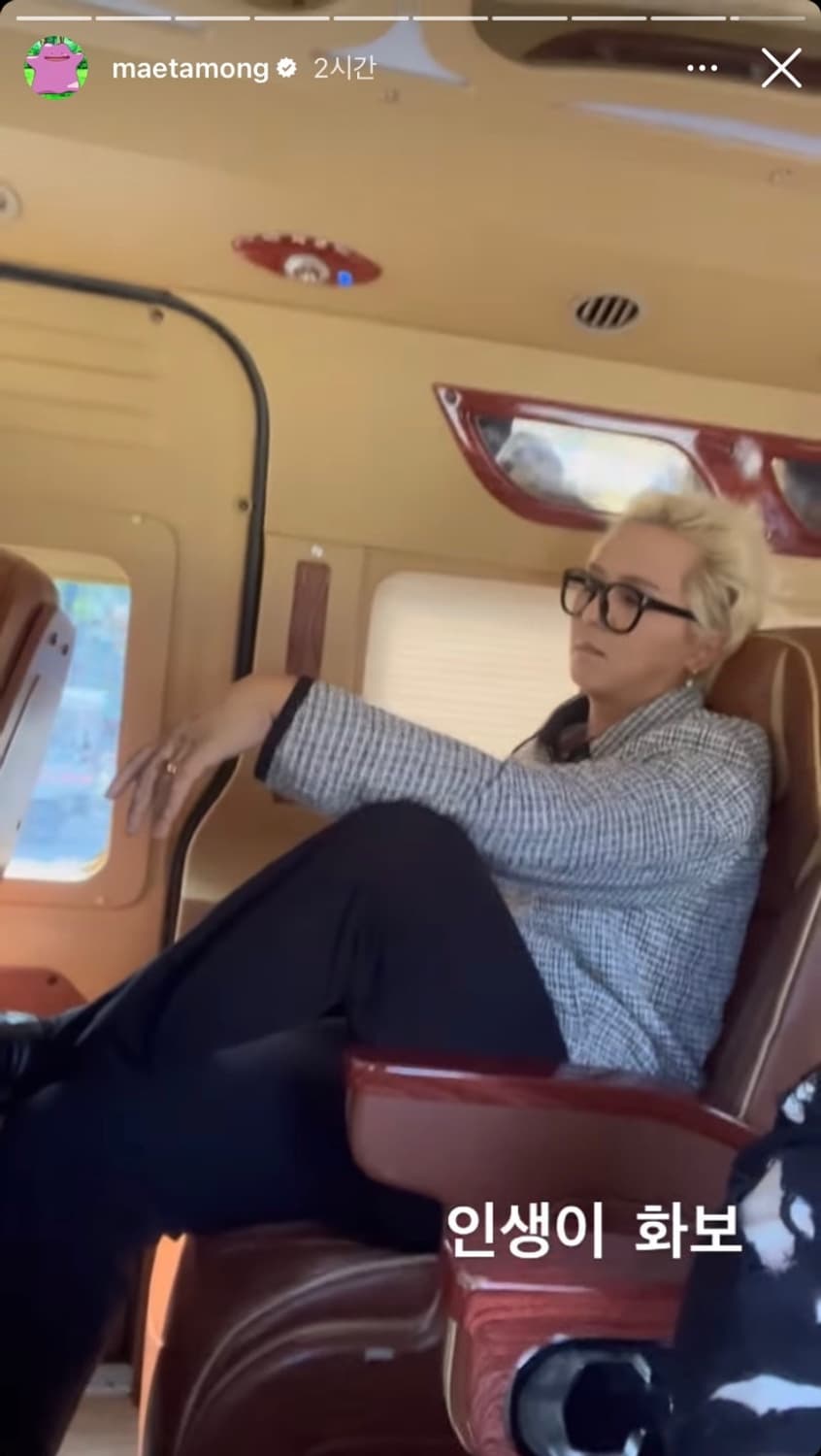 엘무드 파탈 트위드 블루종 상품이미지4