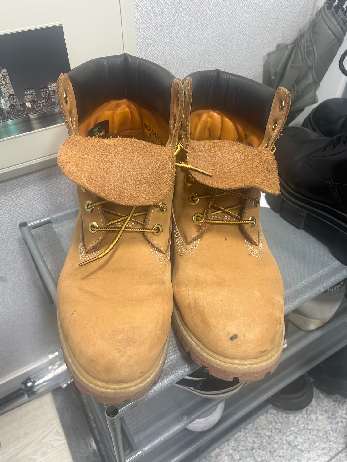 (280) 팀버랜드 6인치 프리미엄 워터프루프 부츠 10061 상품이미지2