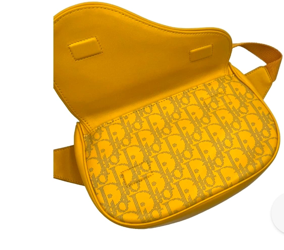 디올오블리크 월드 투어 벨트백 상품이미지5