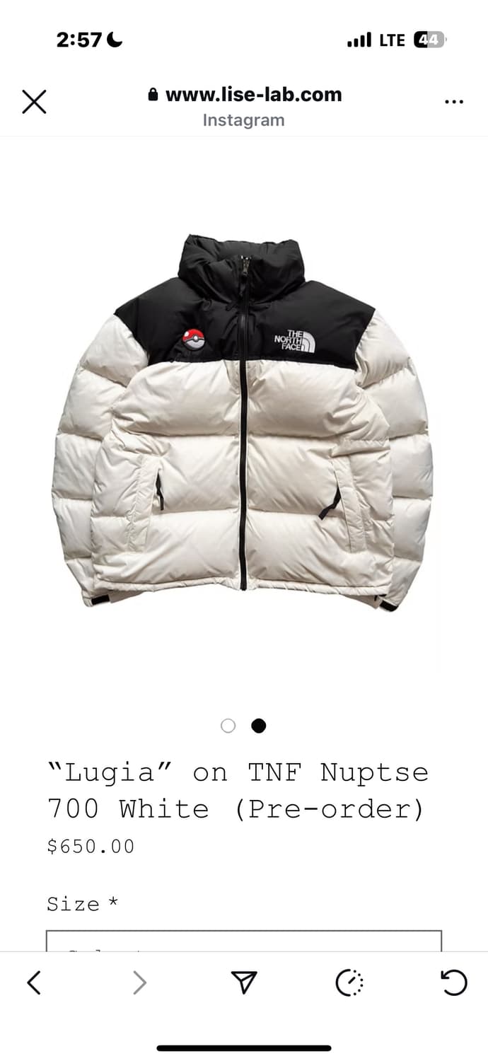 노스페이스 루기아 자수 커스텀 패딩 xl 새상품 상품이미지3