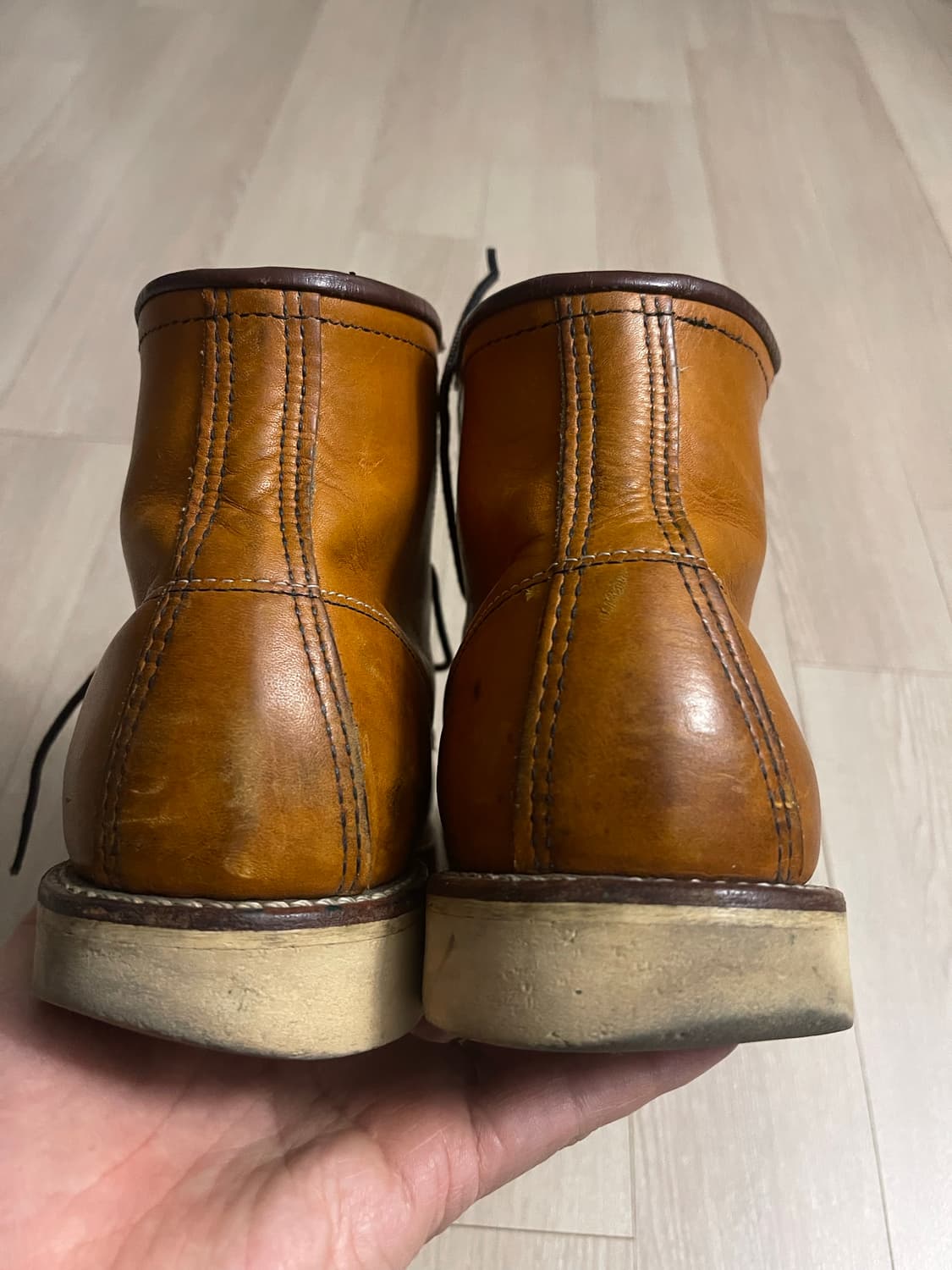 레드윙  상품이미지5