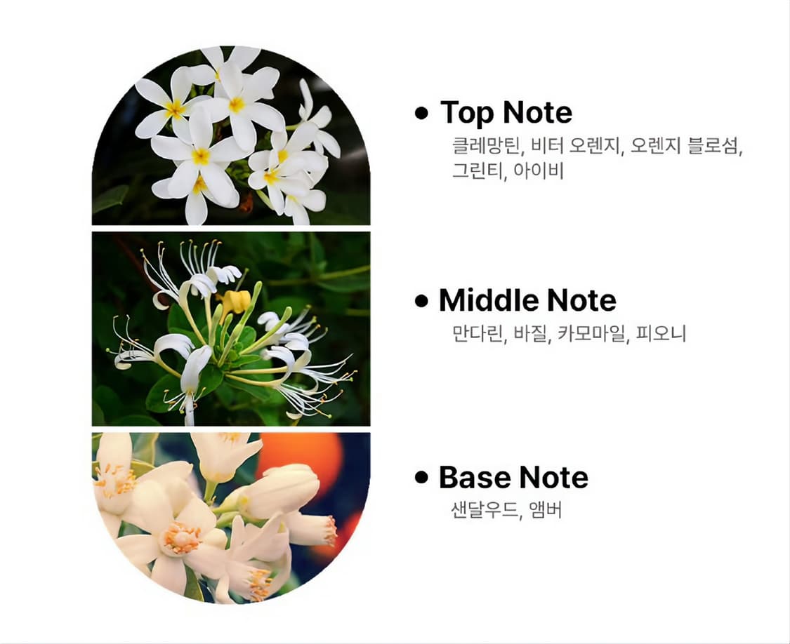 겔랑 아쿠아 알레고리아 만다린 바질릭 EDT 125ml 상품이미지2