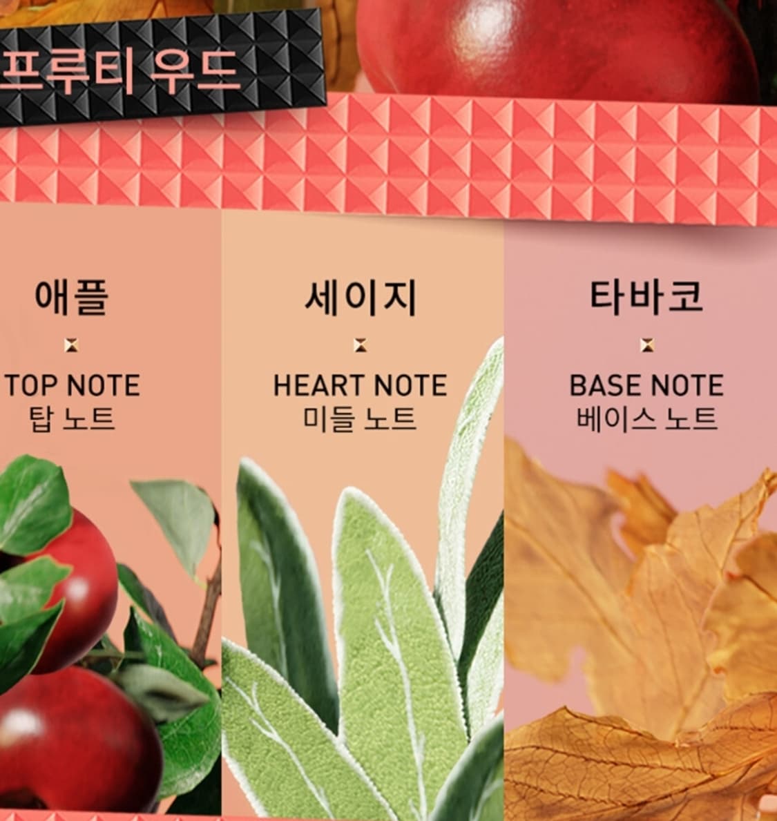 발렌티노 우모 본인 로마 코랄 판타지 EDT 50ml 상품이미지3
