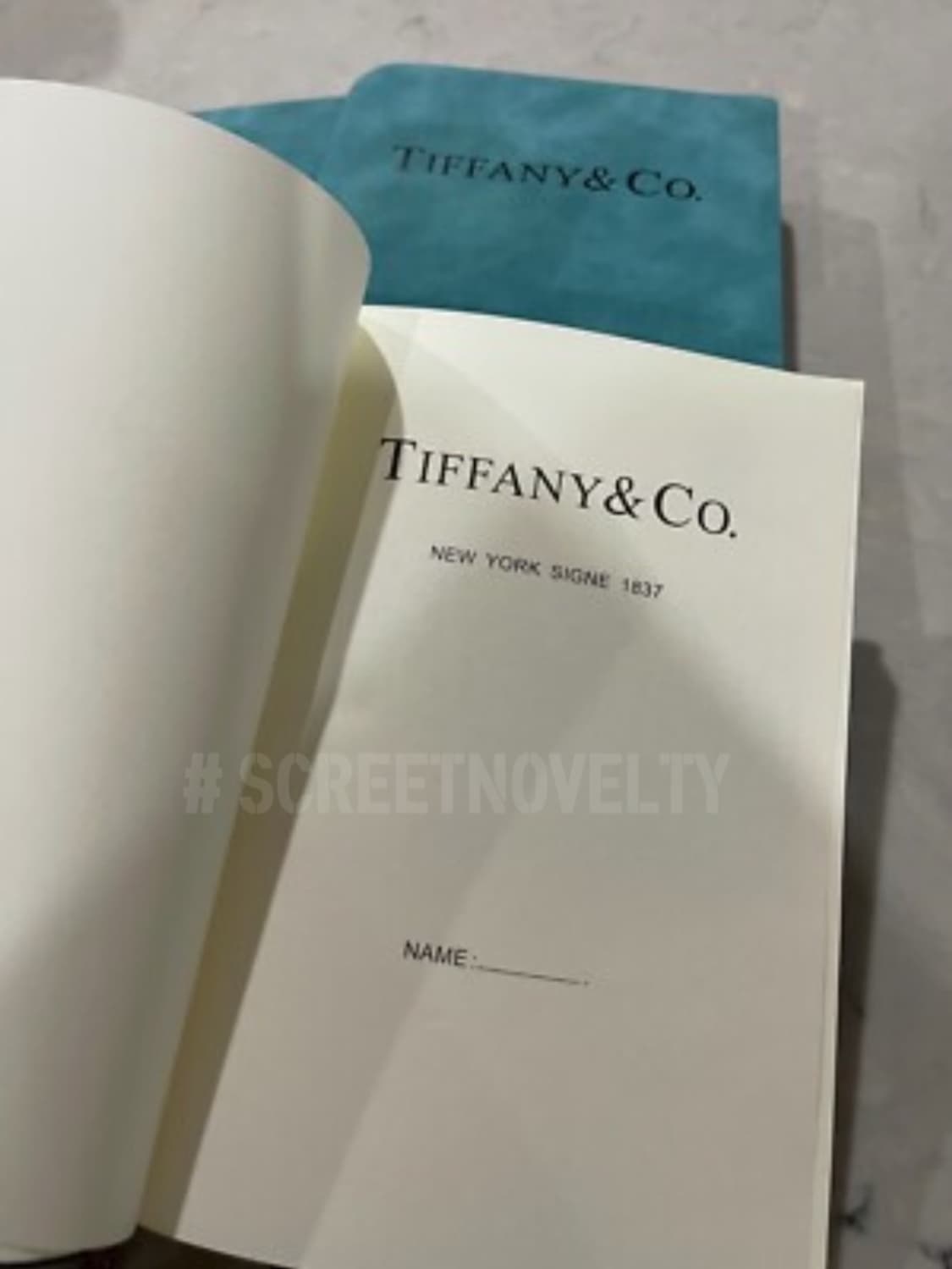  티파니앤코 다이어리 & 볼펜세트 상품이미지9