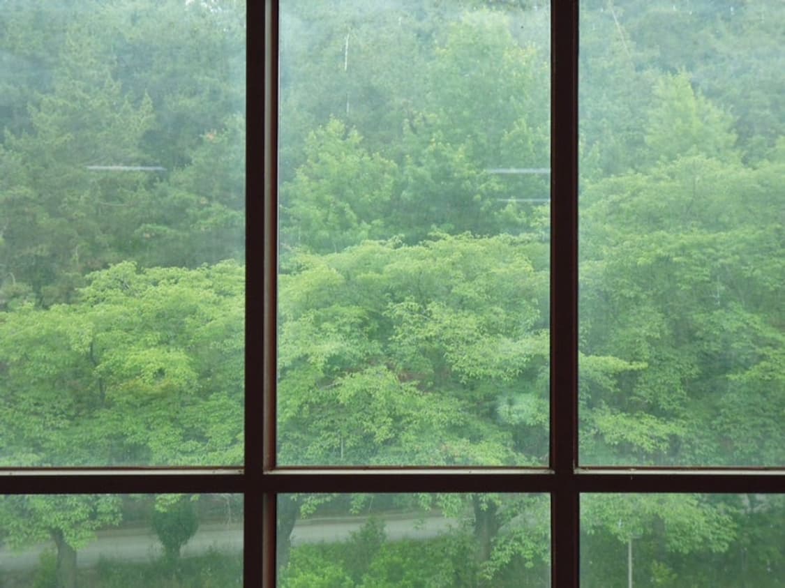 Panasonic dmc-fg10신품급)라이카 렌즈 렌콤팩트 디카 작례O 상품이미지7