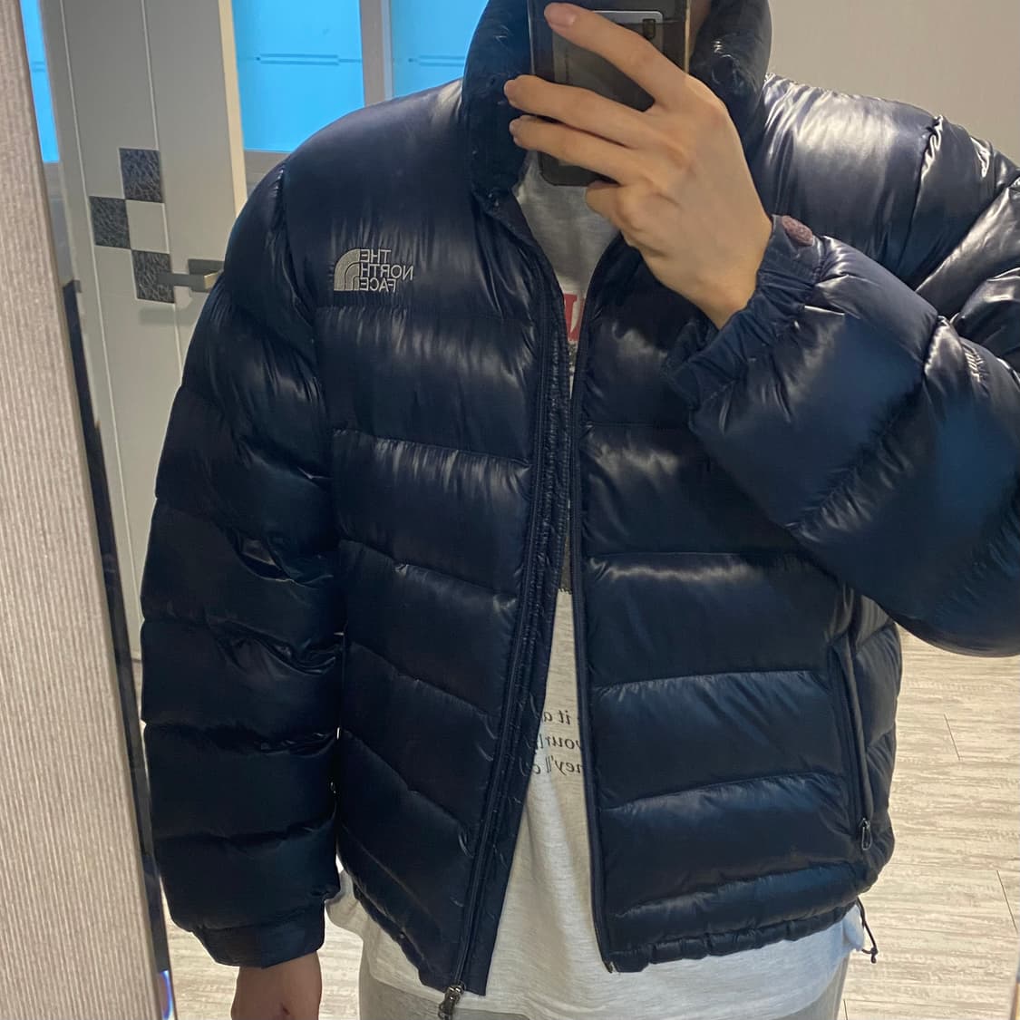 노스페이스 필파워 퍼텍스 700 경량패딩 L (100) 상품이미지9