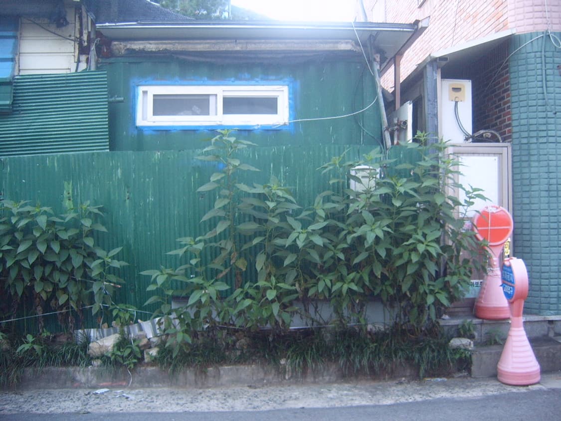 삼성 케녹스 D470 디지털카메라  상품이미지9