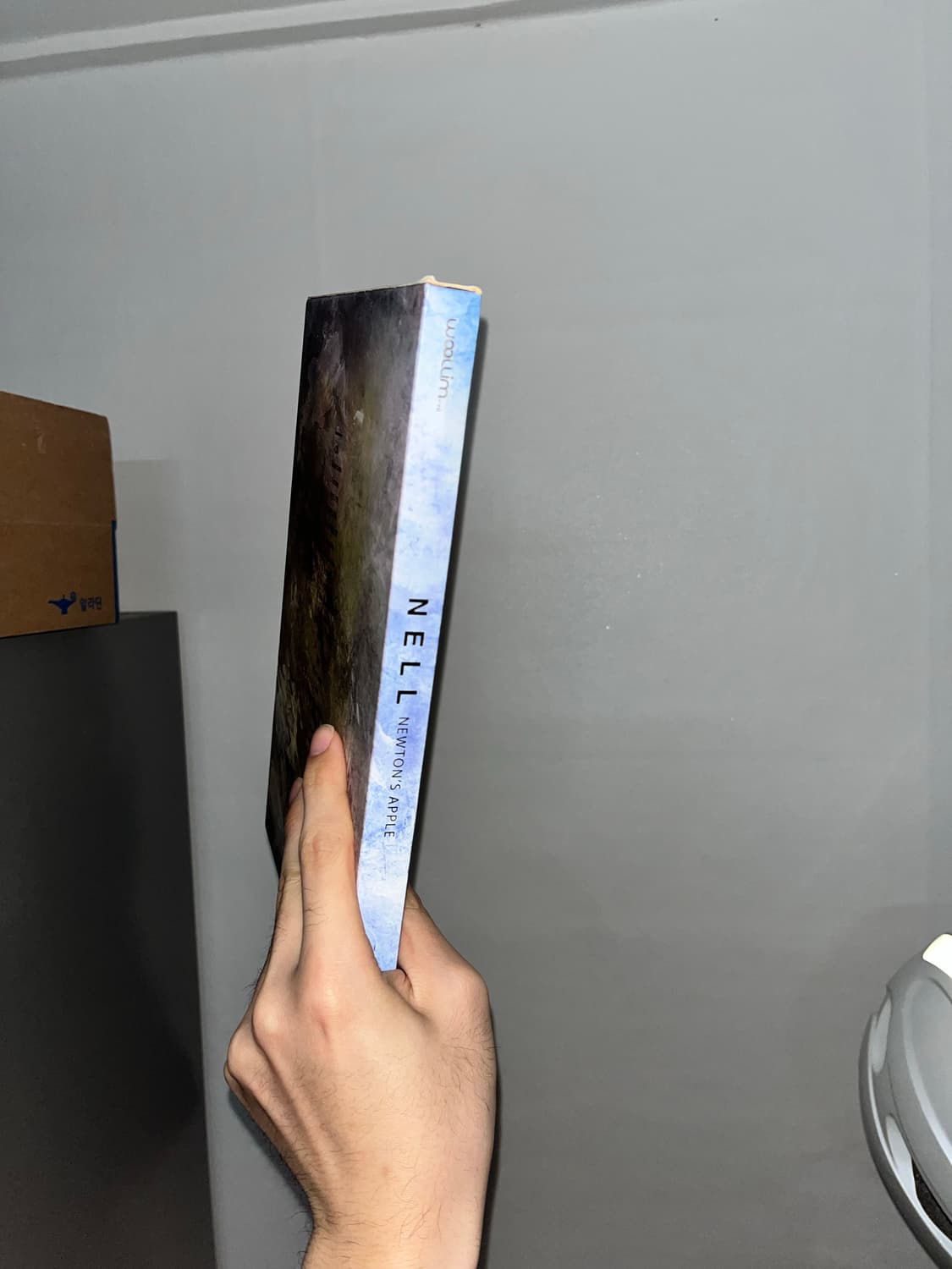 넬 6집 newton’s apple cd 상품이미지1