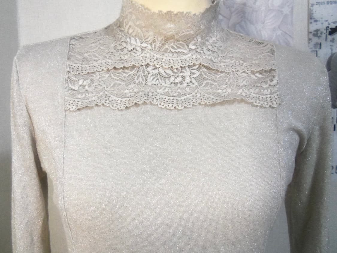 Glitter Lace High Neck Top 상품이미지3