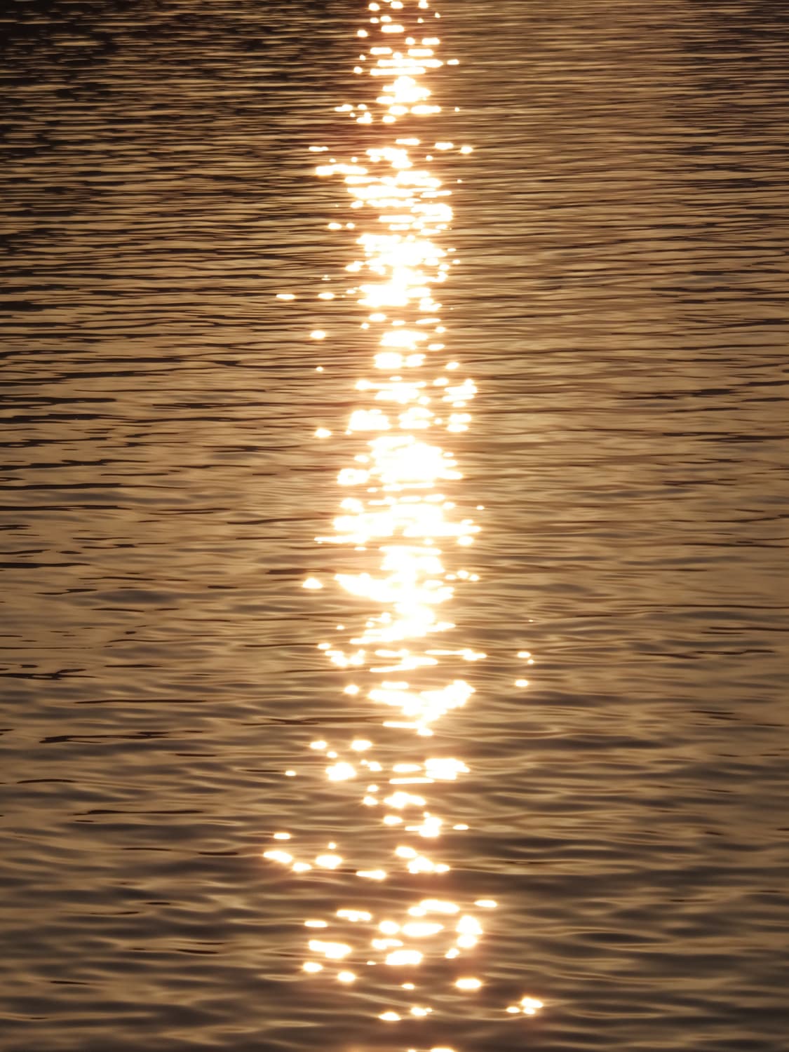 후지필름 파인픽스 F900EXR (작례🅾️) 상품이미지6