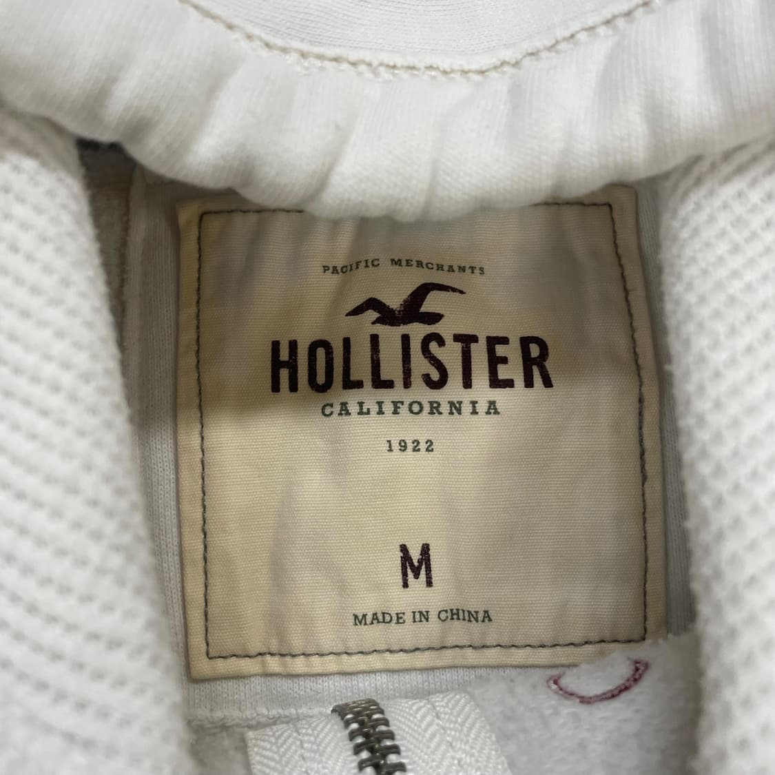 홀리스터 스펠 로고 후드집업 화이트 상품이미지4