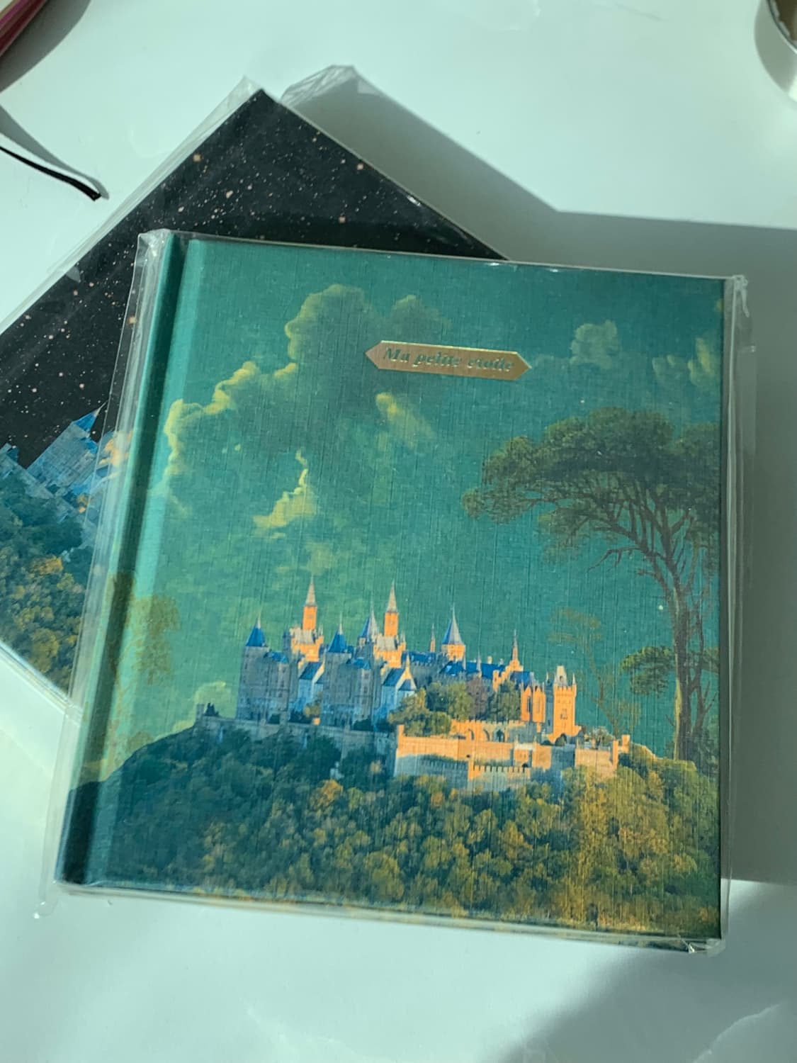 미개봉 에코드소울 다이어리 2권 메모지 2권 일괄 무지 노트 금박 별 상품이미지3