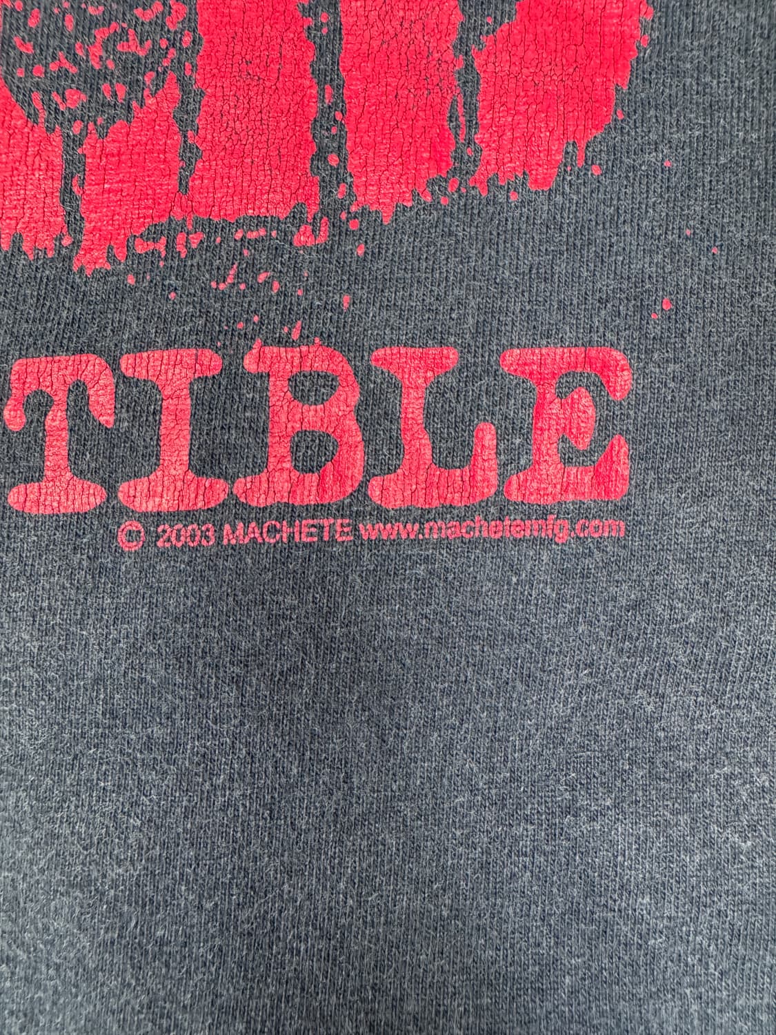 빈티지 00s 랜시드 RANCID INDESTRUCTIBLE 티셔츠 L 상품이미지3