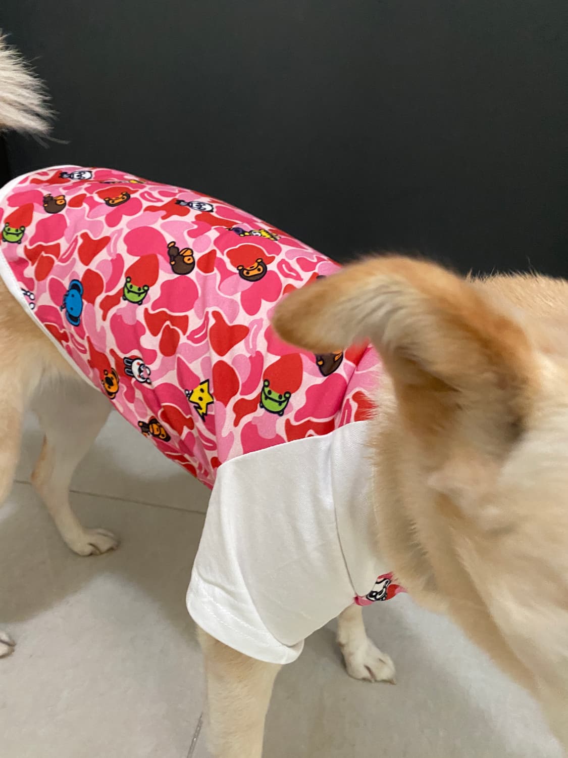 Bape 베이프 베이비마일로 강아지 옷 핑크 카모 상품이미지3