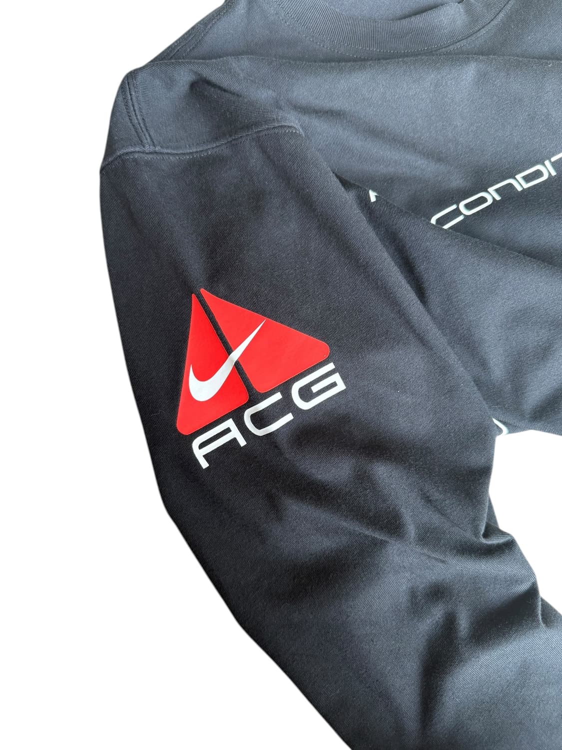 ACG ssnl 렁스 로고 롱슬리브 상품이미지4