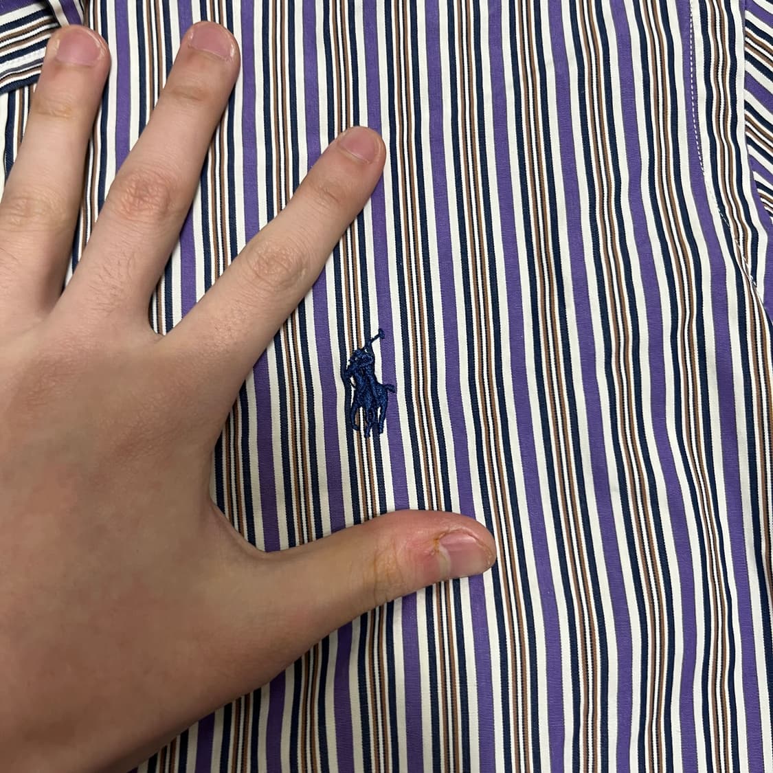 폴로 남성 반팔 체크셔츠 41-84 상품이미지4