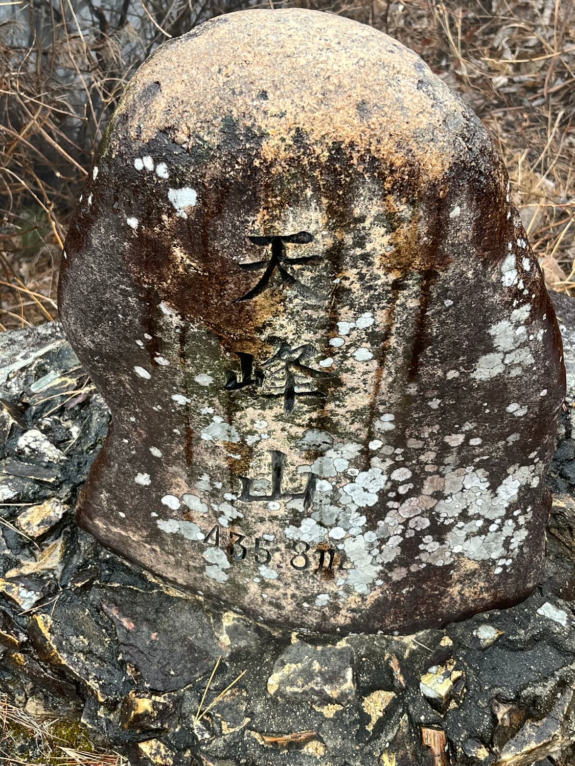 의류교신 받습니다 상품이미지2