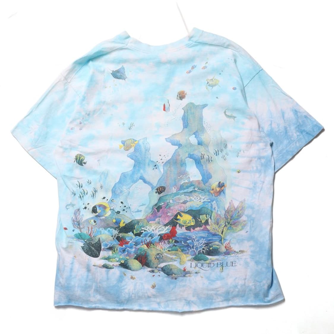 Liquid Blue Coral Reef Aquatic Paradise  상품이미지4