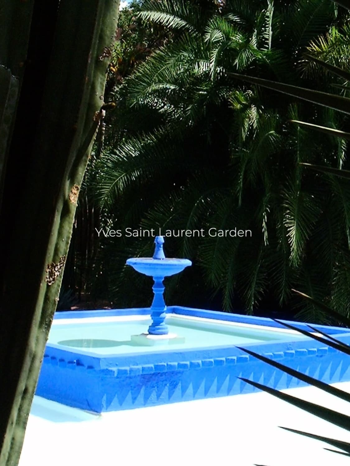 라이카 디지룩스 줌 민트급 상품이미지4