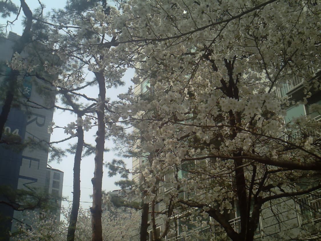 히타치 Hitachi HDC-503X 빈티지 디카 상품이미지6