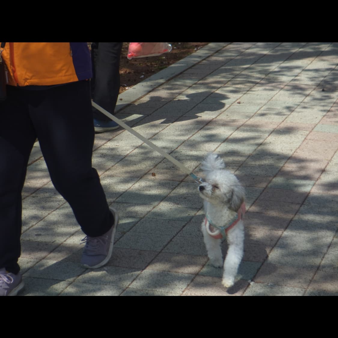 작례⭕️ 리코 PX 상품이미지8