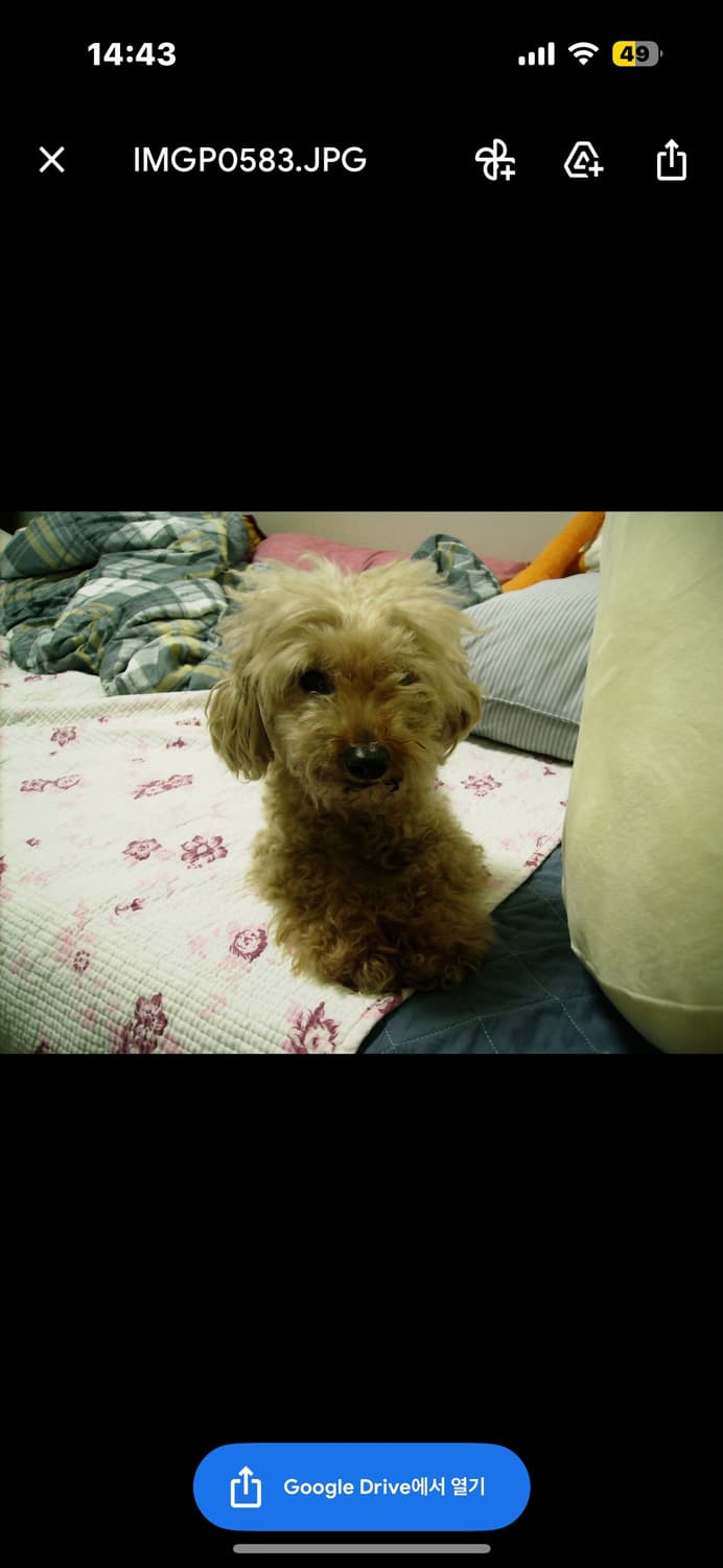 Pentax Optio E10 작례 o 상품이미지8