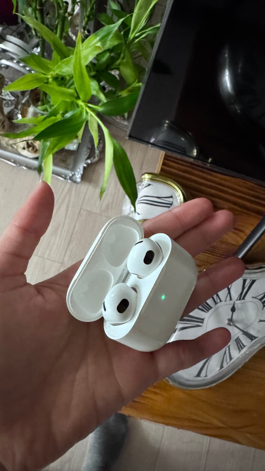 정품 에어팟 3세대 (2022) 상품이미지1
