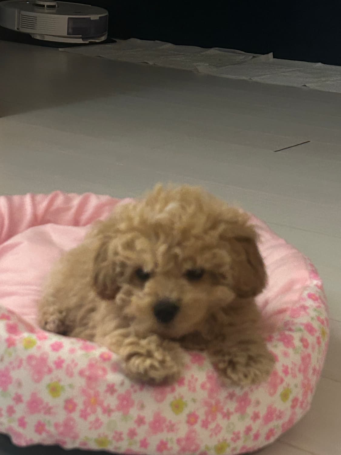 세일 & 배송업무 공고 상품이미지1