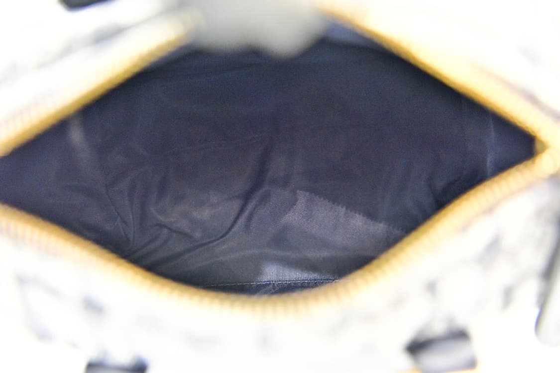 디올 오블리크 미니 보스턴백(정품) 상품이미지10