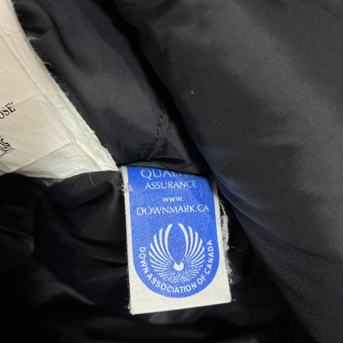 캐나다구스 마운틴 패딩 상품이미지8