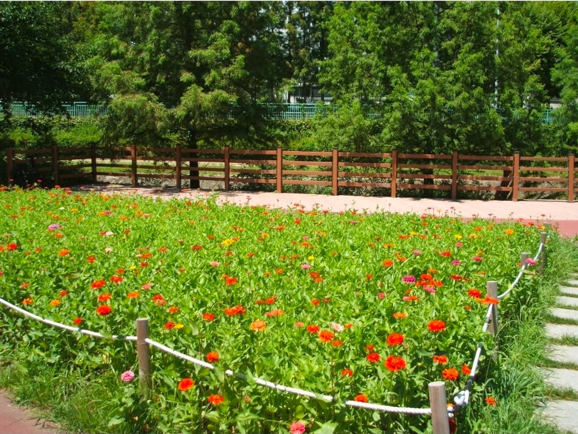 [정크품/희귀] 후지필름 F440(작례O) 상품이미지6