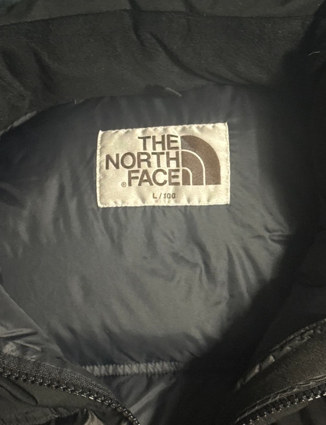 노스페이스 노벨티 눕시 패딩  상품이미지2