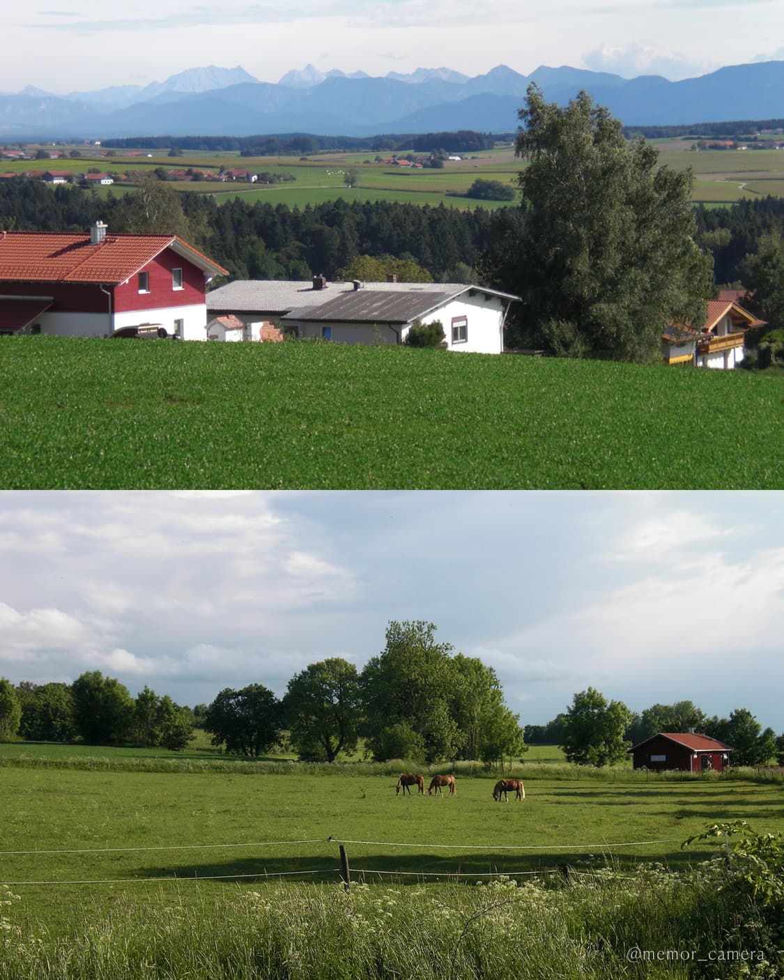 희귀/카리나, 토모토모 유인픽 ✨ Casio Exilime EX-Z80  상품이미지9