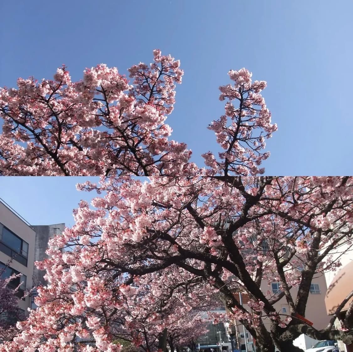 후지필름 파인픽스 Fujifilm FinePix Z5fd 디지털카메라 상품이미지5