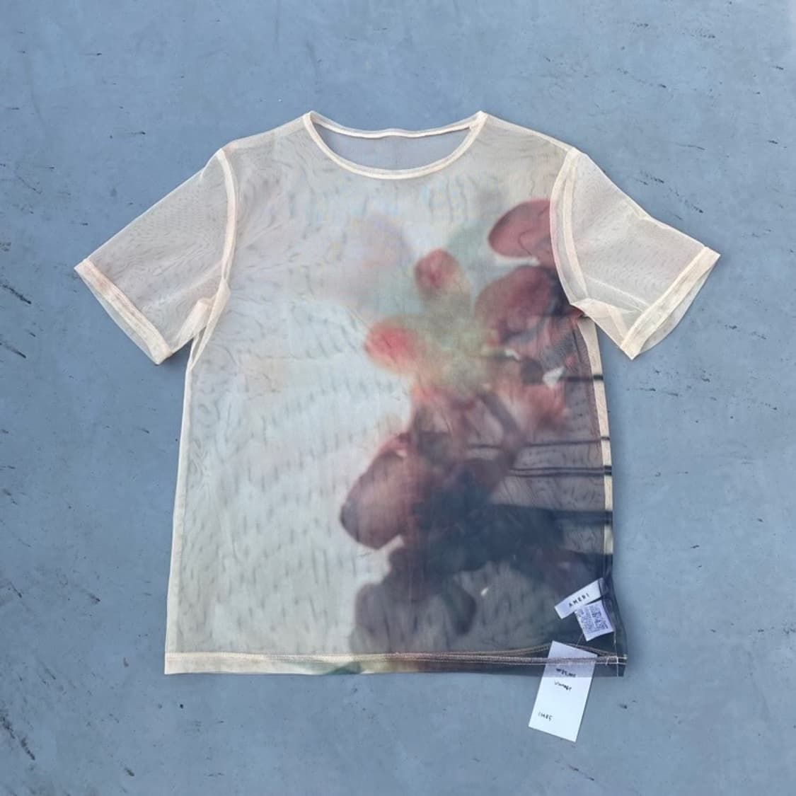 Ameri sheer top 상품이미지1