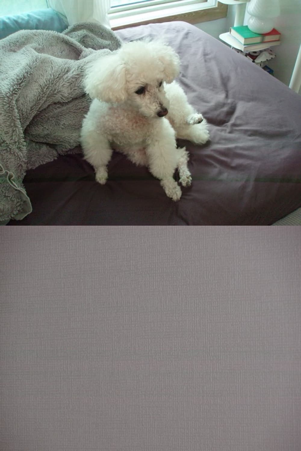 올림푸스 스타일러스 740 빈티지 디지털카메라 상품이미지7