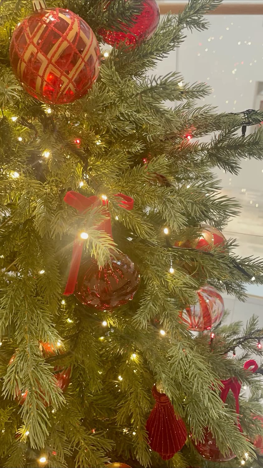 🎄피드 코디셋 균일가 50000원🎄 상품이미지1