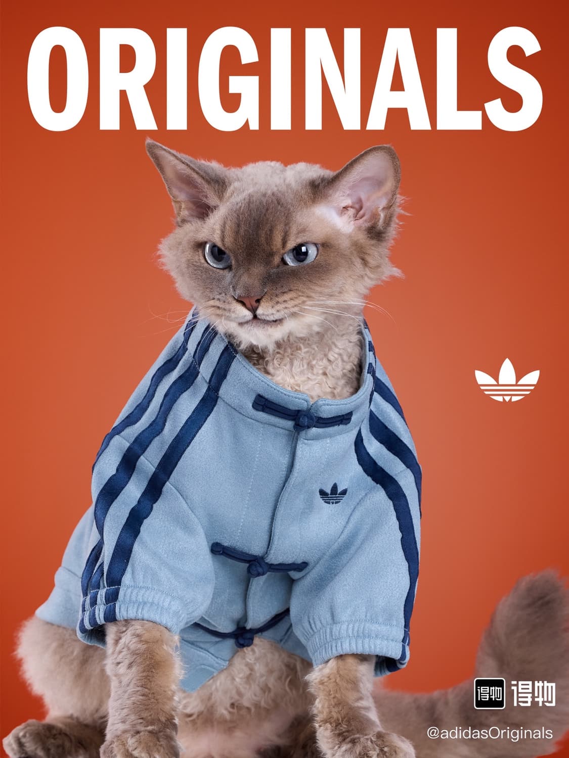 아디다스 강아지 고양이 옷 중티다스 상품이미지1