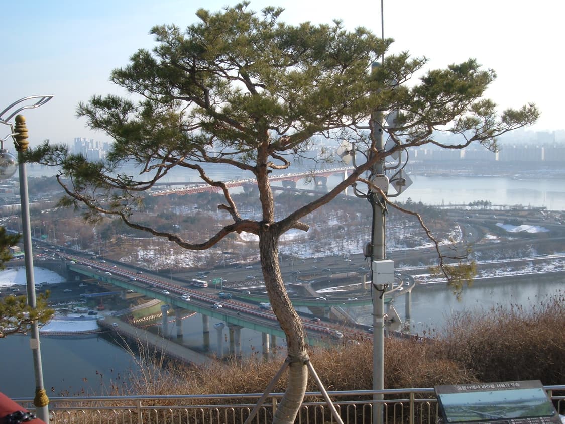 후지필름 파인픽스 a340 디카 (정찰가+즉시구매 우대) 상품이미지10