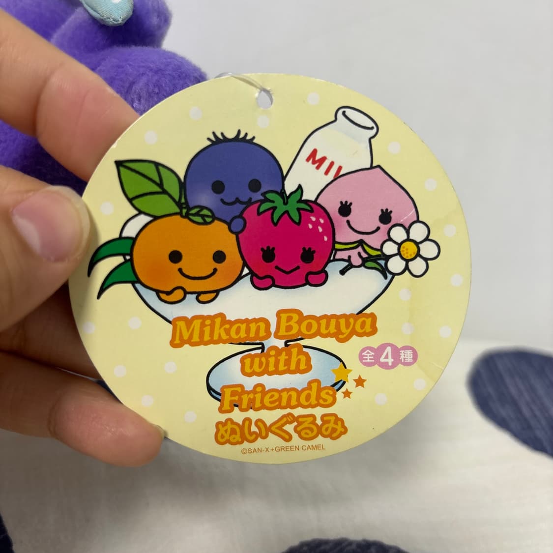 산엑스 미캉보우야 블루베리 인형 상품이미지3