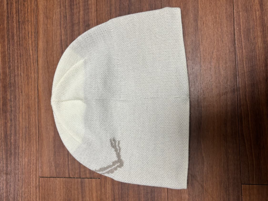 아크테리릭스 버드 헤드 토크 룬 비니 상품이미지3