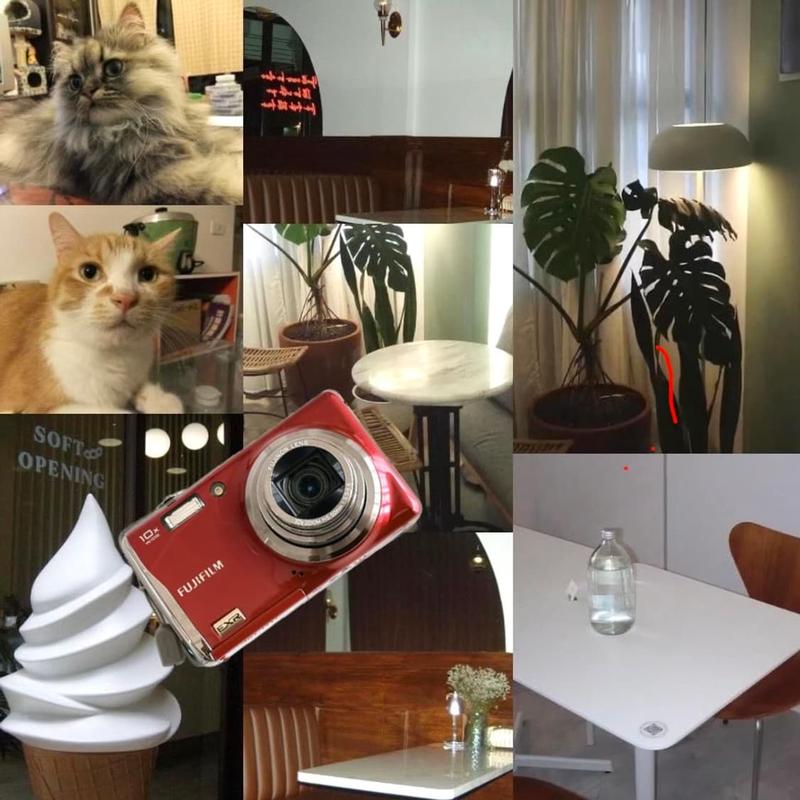 상태 99%,풀구성,후지필름 f80exr 상품이미지8