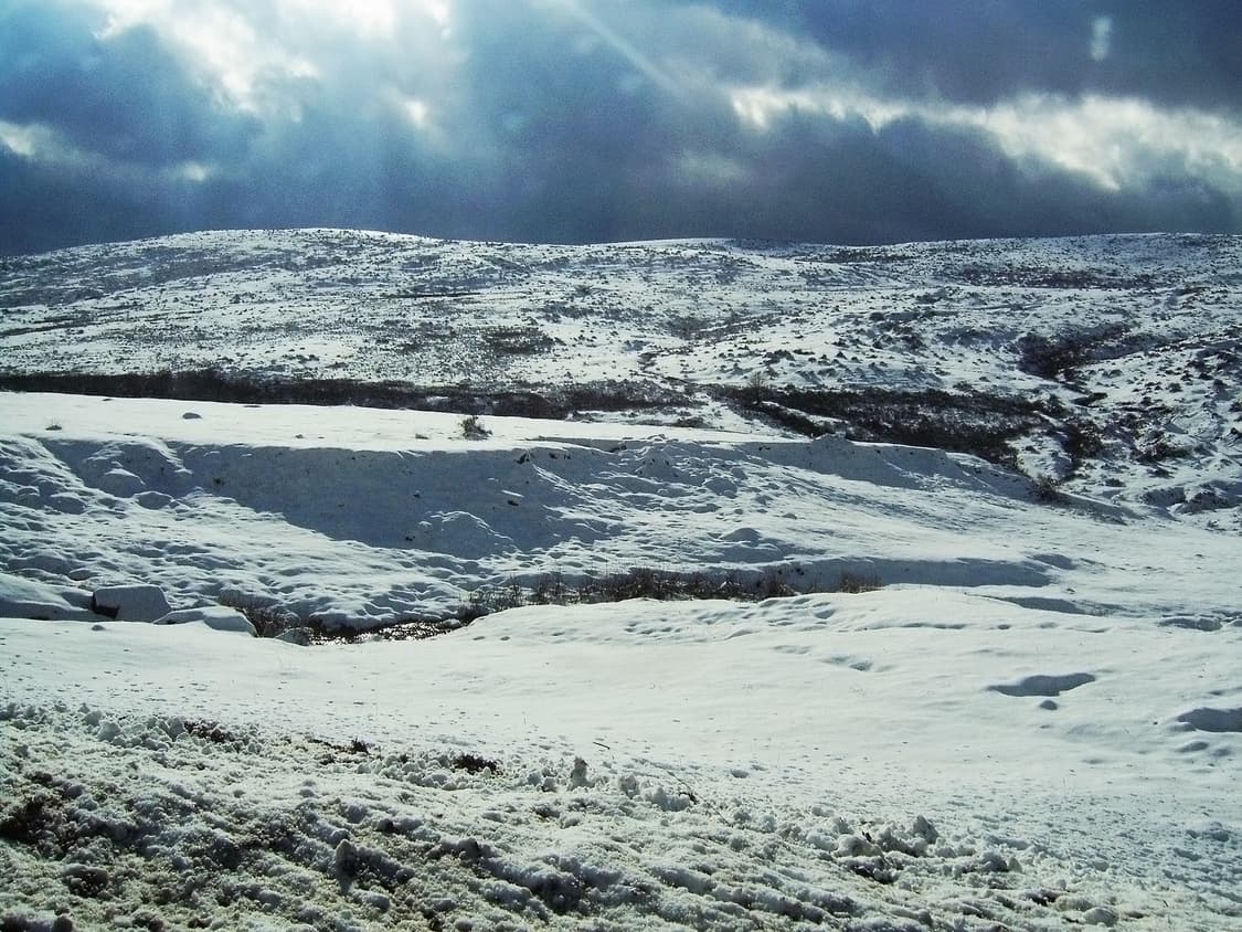 작례O 한예슬 디카 케녹스 a5 알파 5 빈티지 디지털카메라 레트로 상품이미지2