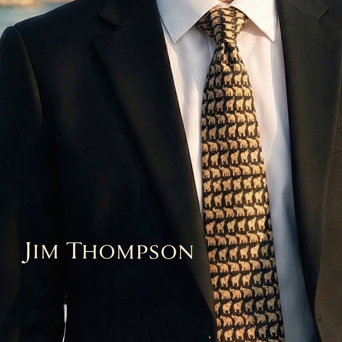 짐톰슨 실크 블랙 코끼리 패턴 넥타이 9.2cm A등급 K1682
 상품이미지1