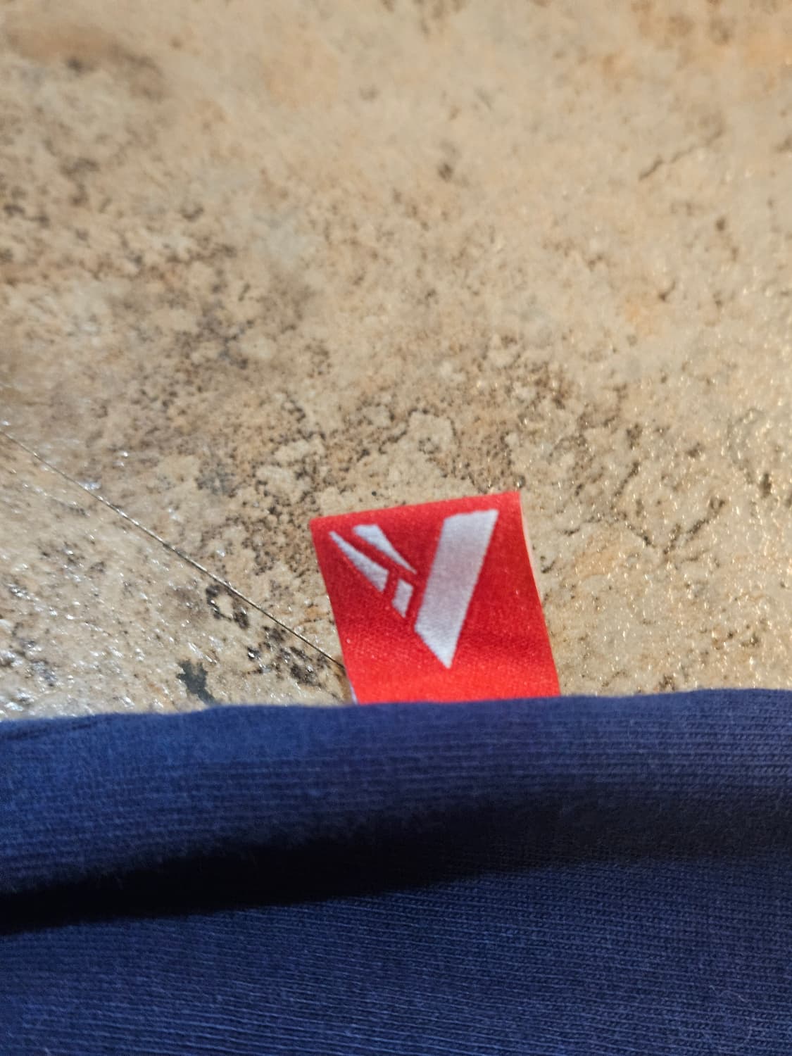 CHAMPIONS FIZICO APPAREL 피지코 상품이미지5