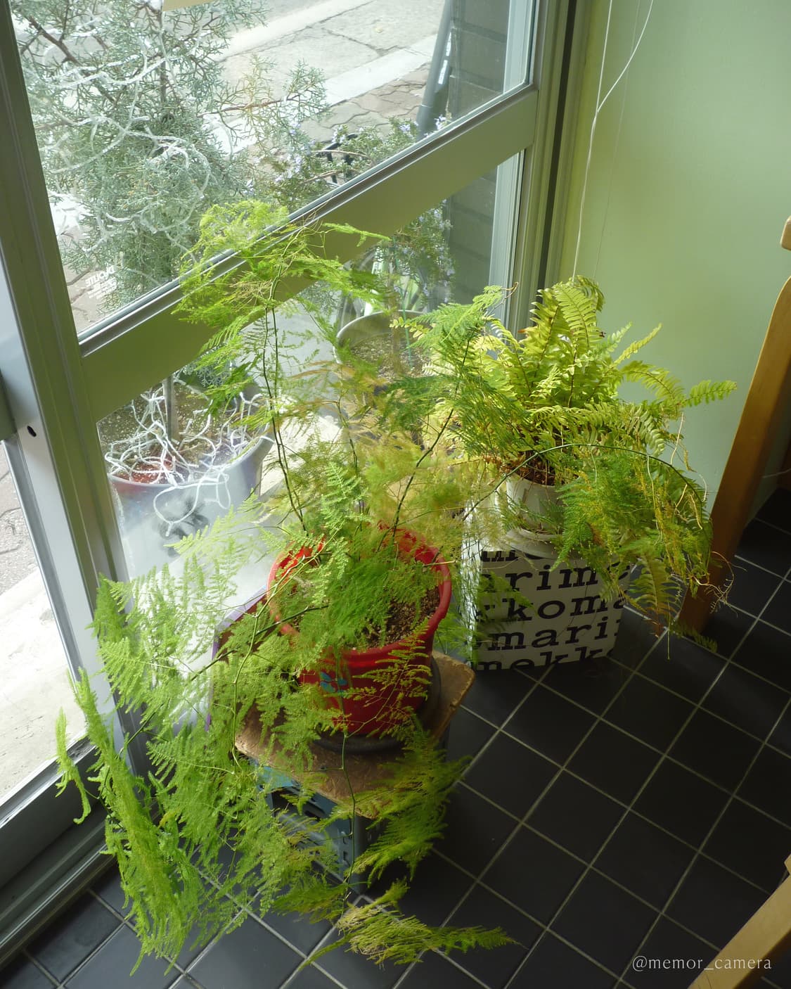  라이카렌즈✨딸기우유컬러🎀/Panasonic DMC-FX40 파나소닉 상품이미지8